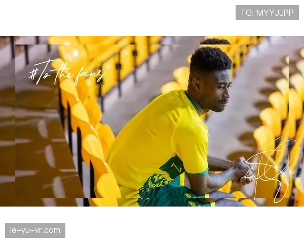 诺维奇卡罗路球场全面升级，焕新体验引领球迷观赛新风尚