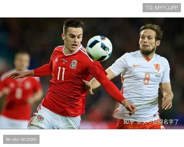 克罗地亚队在欧洲杯中的表现稳健，备受期待成为冠军争夺者