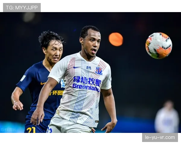 保加利亚球迷支持国家队近期表现稳健