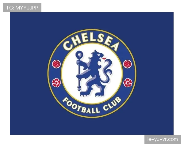 切尔西球队结构研究
